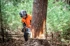 HUSQVARNA Lanac motorne pile C85 X-Cut 15 mm 3/8" 105 karika